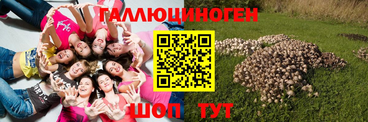 Кумертау  Псилоцибиновые грибы прущие грибы  Галлюциногенные грибы прущие грибы  Вход с VPN 