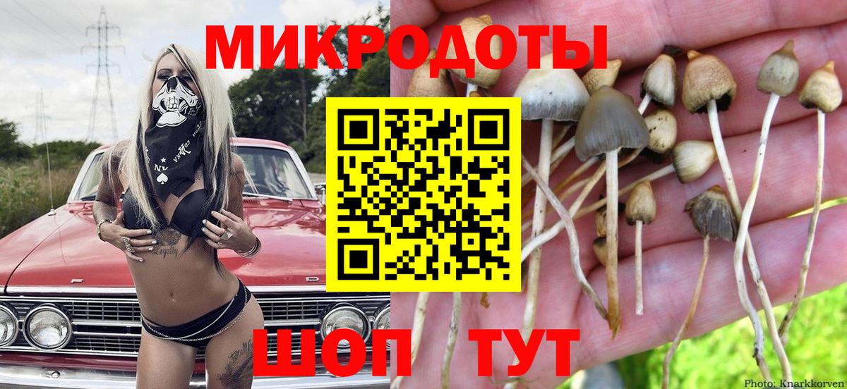 Псилоцибиновые грибы мухоморы Кумертау
